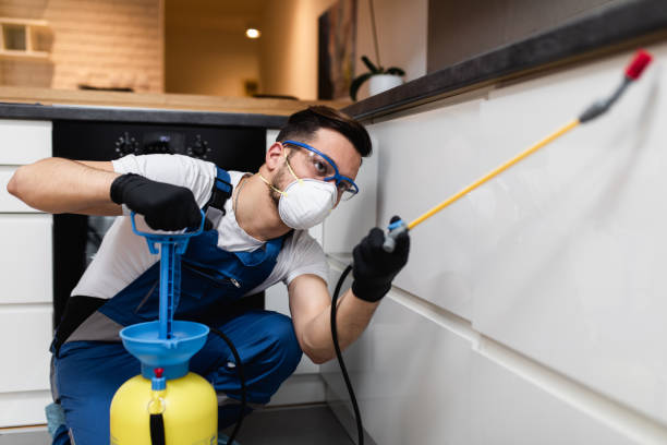 Best Pest Control for Homes  in Bennington, NE