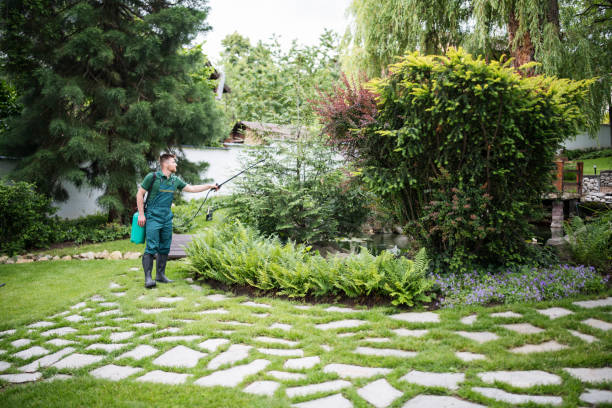 Best Ant Control Services  in Bennington, NE