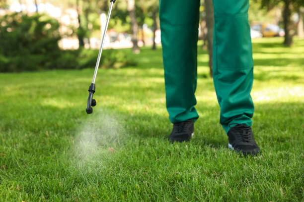 Best Wasp Removal Services  in Bennington, NE