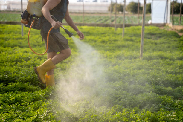 Best Mosquito Control Services  in Bennington, NE