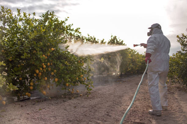 Best Pest Prevention Services  in Bennington, NE