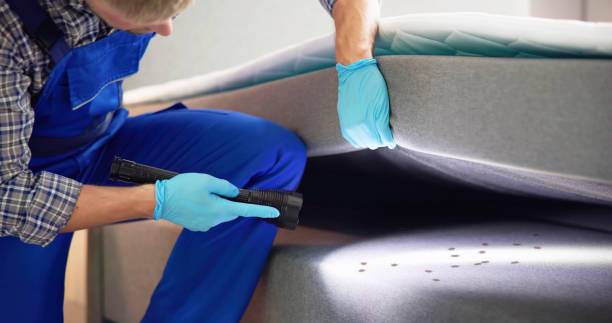 Best Emergency Pest Control  in Bennington, NE