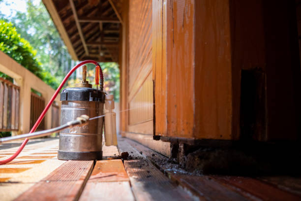 Best Exterminator Services  in Bennington, NE