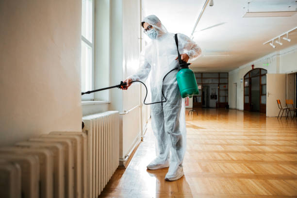Best Local Pest Control Services  in Bennington, NE