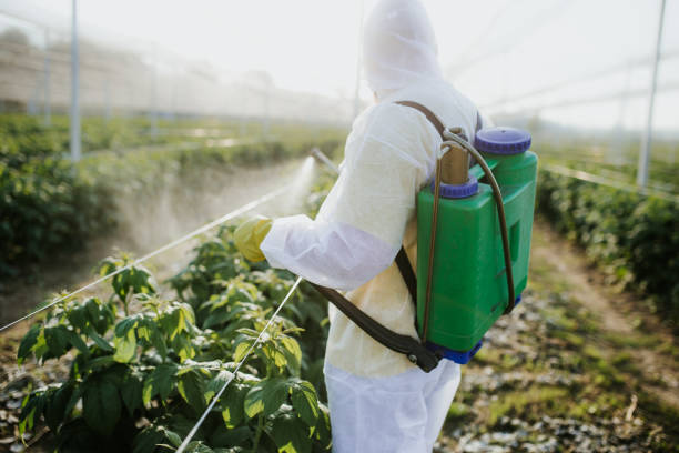 Best Best Pest Control Near Me  in Bennington, NE